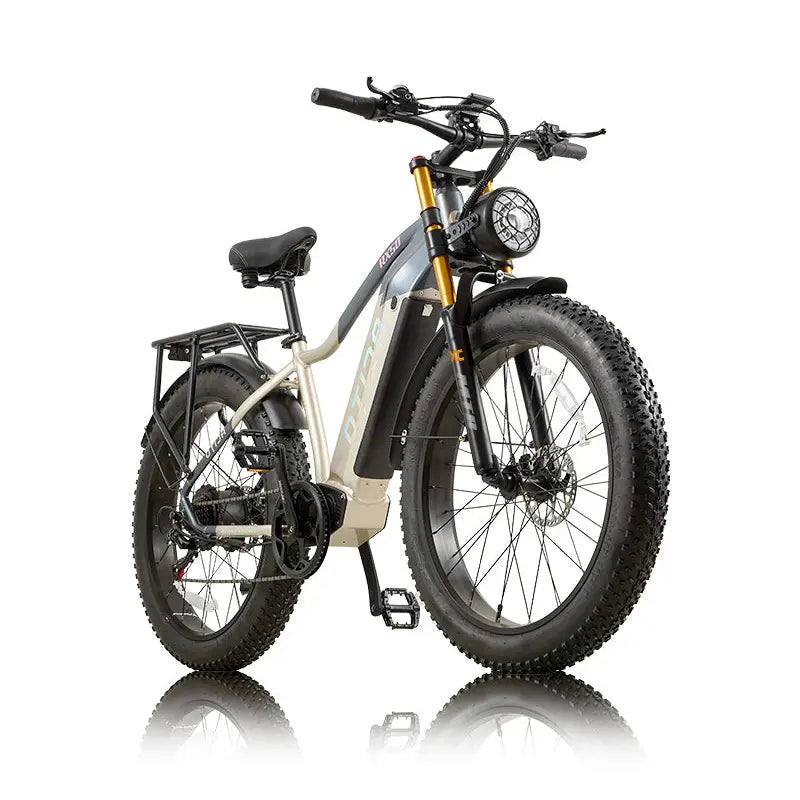 OTIDA RX50 1000W Fat Tire Mountain Electric Bike
