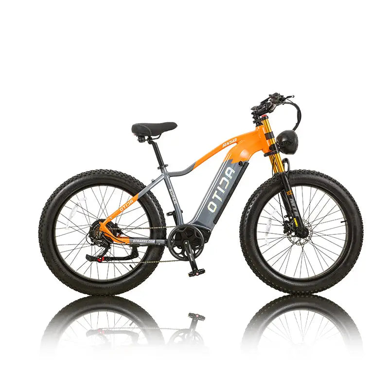 OTIDA RX50 1000W Fat Tire Mountain Electric Bike