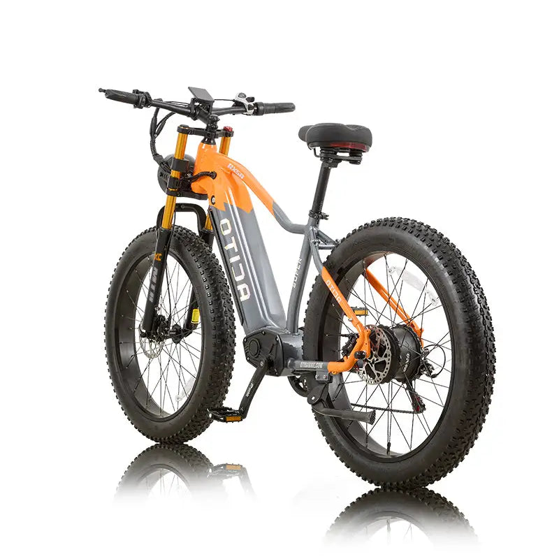 OTIDA RX50 1000W Fat Tire Mountain Electric Bike