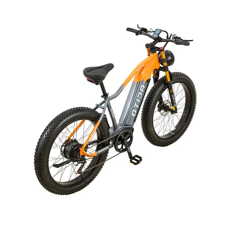 OTIDA RX50 1000W Fat Tire Mountain Electric Bike