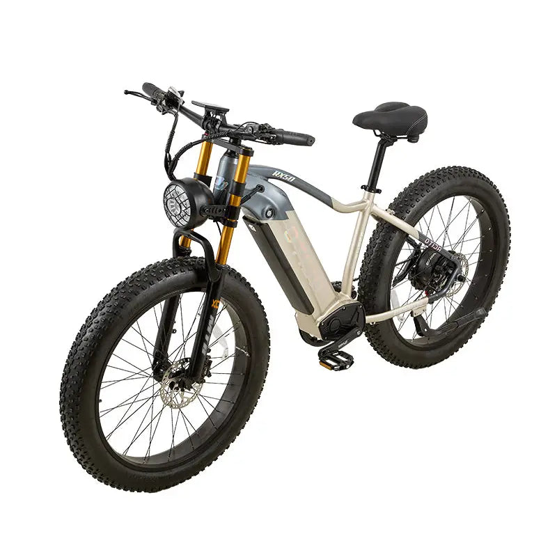 OTIDA RX50 1000W Fat Tire Mountain Electric Bike