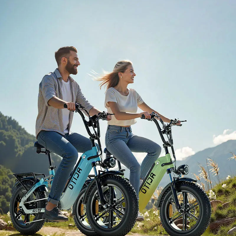 OTIDA AZ20 Step-thru Utility E-bike