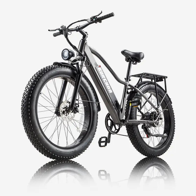 BURCHDA RX20 Fat Tire All Terrain Electric Bike For Adults