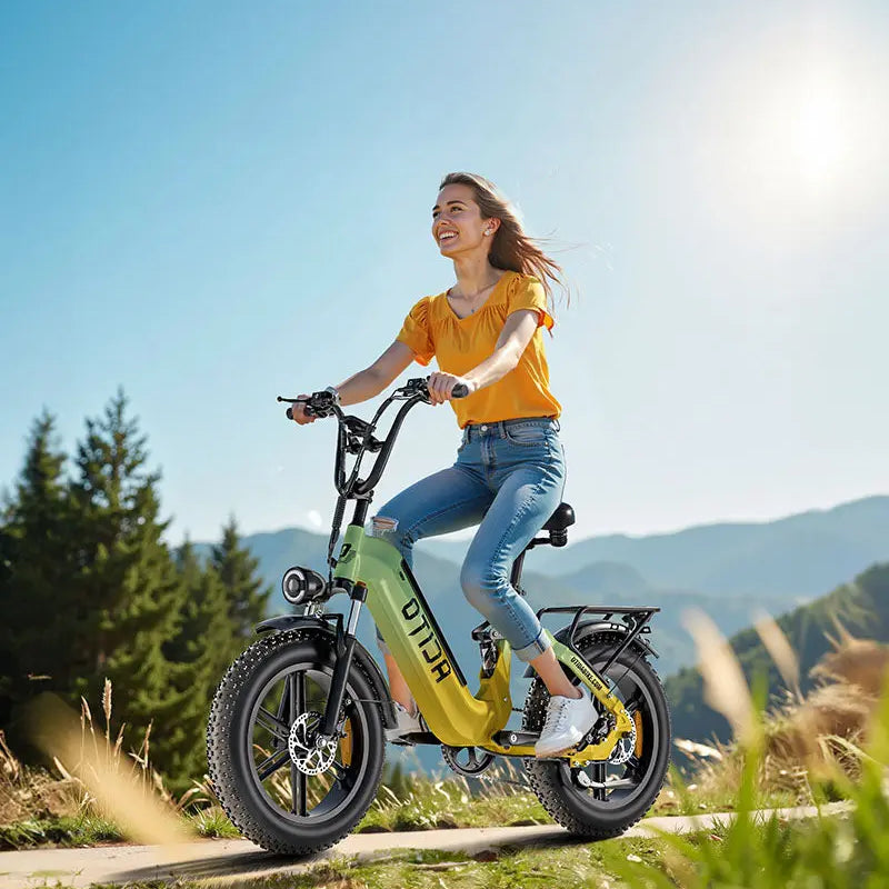 OTIDA AZ20 Step-thru Utility E-bike