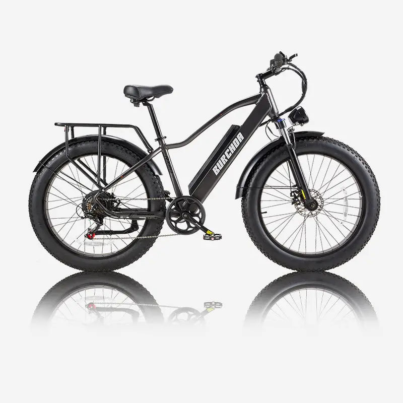 BURCHDA RX20 Fat Tire All Terrain Electric Bike For Adults