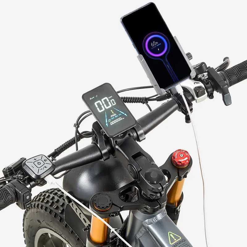 BURCHDA RX80 Off-road Fat Tire Ebike burchda