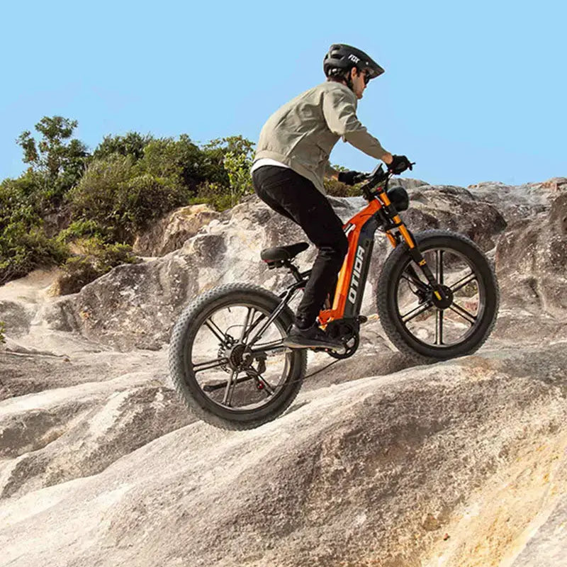OTIDA RX80 2000W Fat Tire Dual Motor Electric Bike