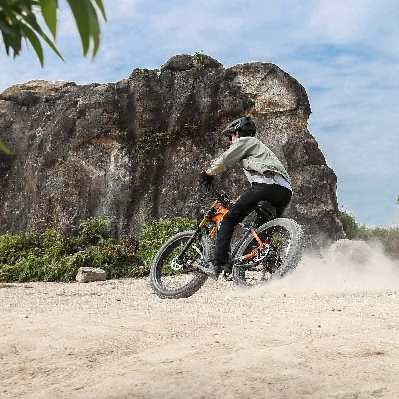 OTIDA RX50 1000W Fat Tire Mountain Electric Bike