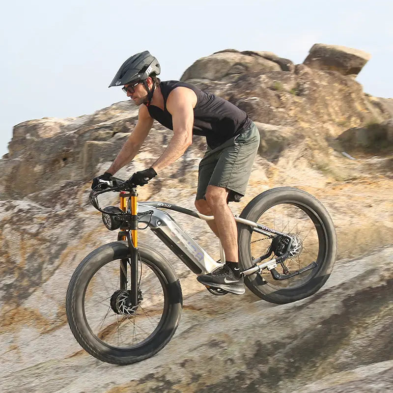 OTIDA RX50 2000W Dual Motor Fat Tire Mountain EBike