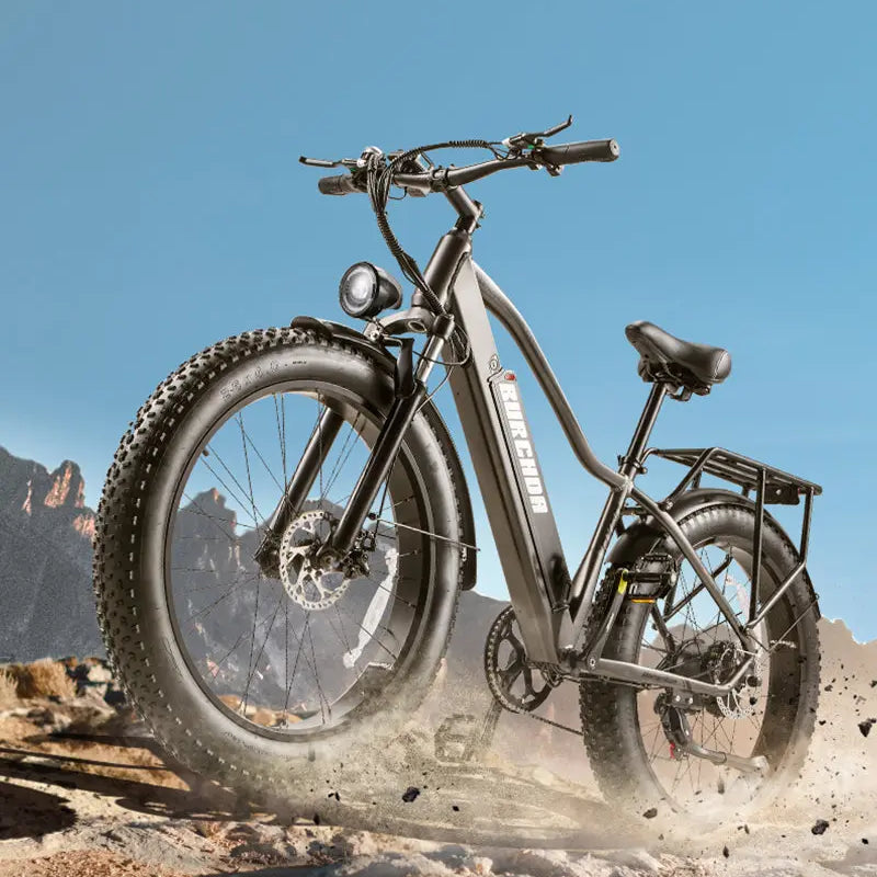 BURCHDA RX20 Fat Tire All Terrain Electric Bike For Adults burchda