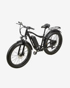 BURCHDA RX02 1000W Fat Tire Mountain Electric Bike