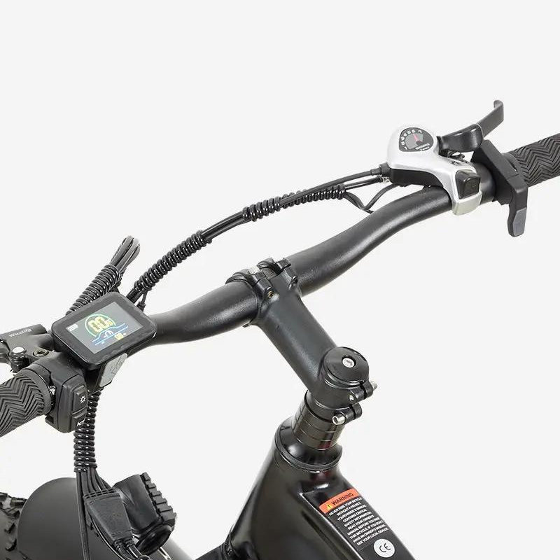 BURCHDA RX02 1000W Fat Tire Mountain Electric Bike