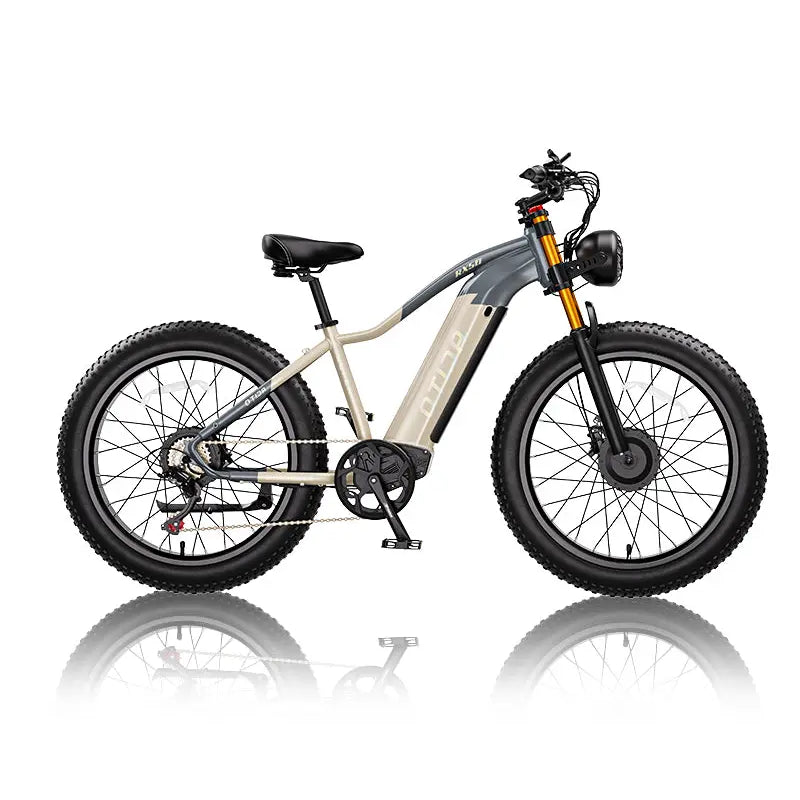 OTIDA RX50 2000W Dual Motor Fat Tire Mountain EBike