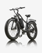 BURCHDA RX02 1000W Fat Tire Mountain Electric Bike
