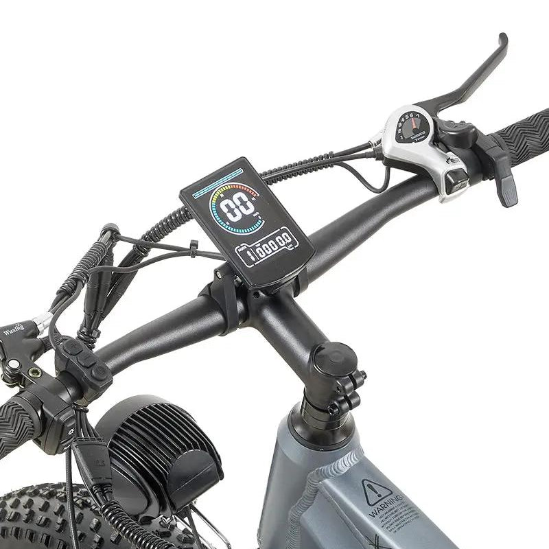 BURCHDA RX50 Off-road Fat Tire Ebike