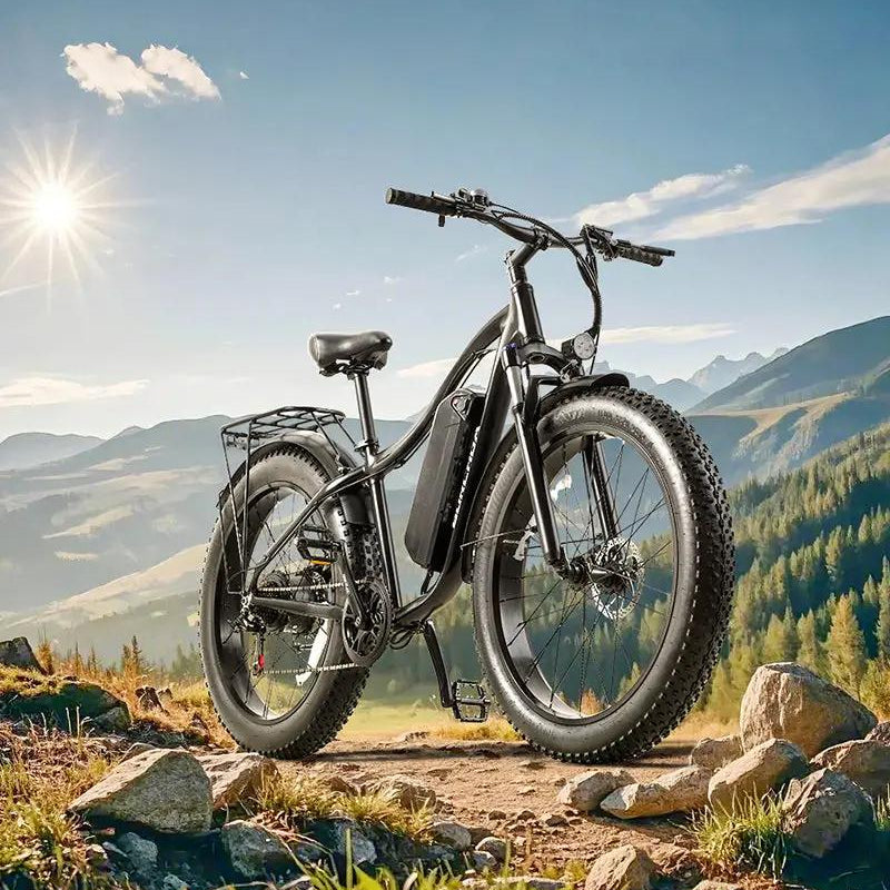 BURCHDA RX02 1000W Fat Tire Mountain Electric Bike