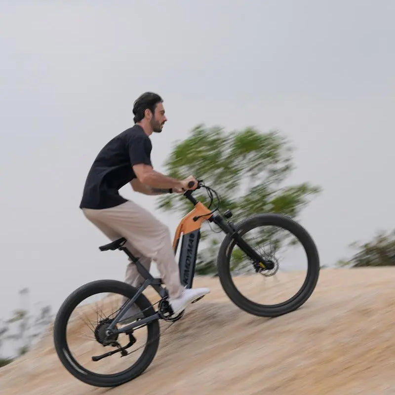 KIMDYMA K02 1000W Urban Commuter Electric Bike for Adult