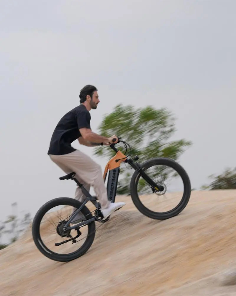 KIMDYMA K02 1000W Urban Commuter Electric Bike for Adult