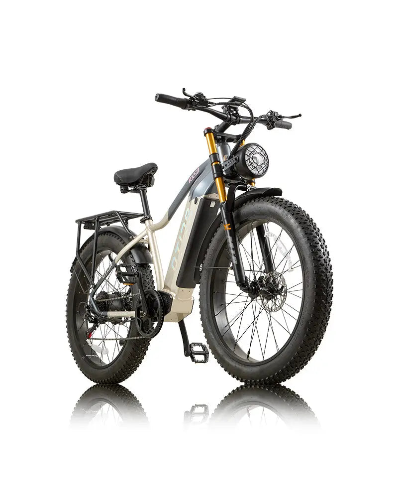OTIDA RX50 1000W Fat Tire Mountain Electric Bike 