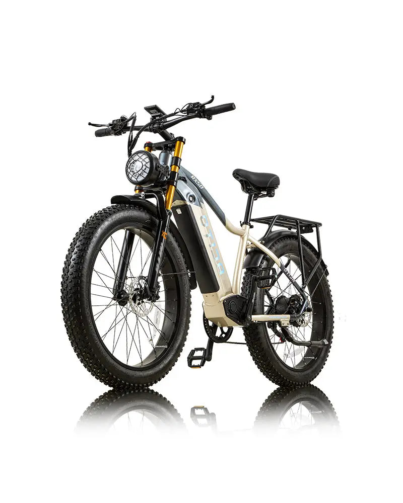 OTIDA RX50 1000W vollgefedertes Mountainbike – burchda-ebike