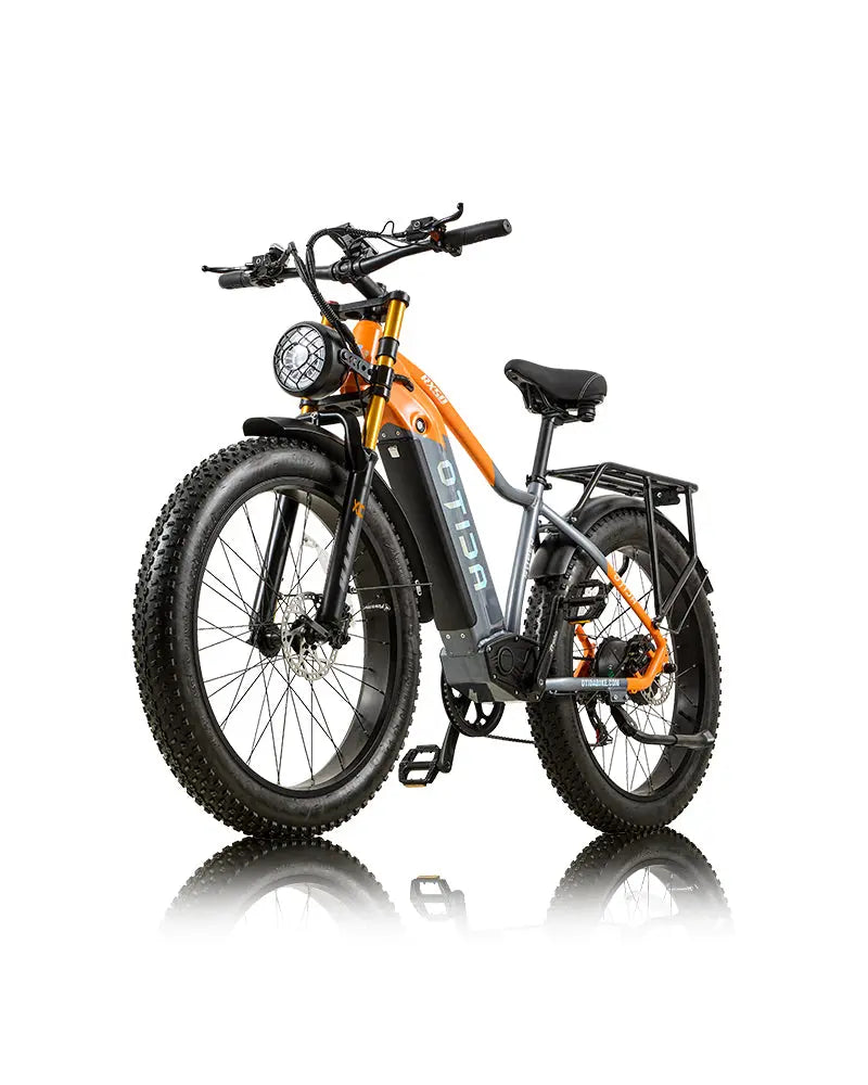 OTIDA RX50 1000W Fat Tire Mountain Electric Bike 