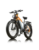 OTIDA RX50 1000W Fat Tire Mountain Electric Bike 