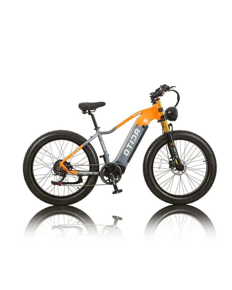 OTIDA RX50 1000W Fat Tire Mountain Electric Bike 