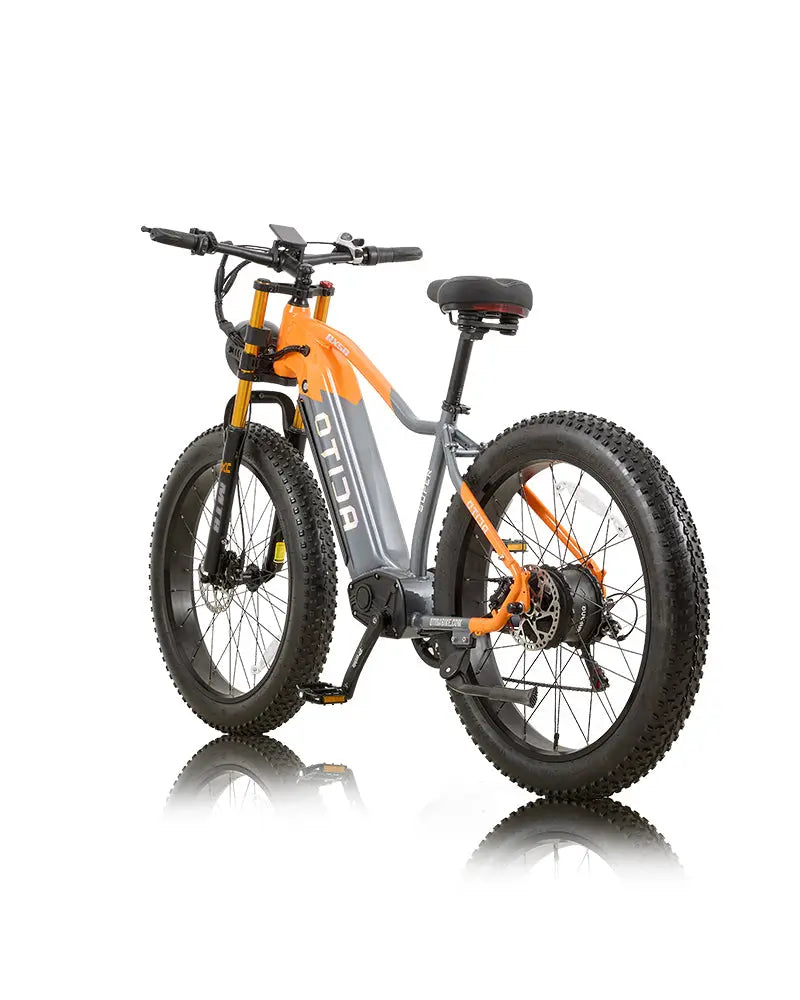 OTIDA RX50 1000W Fat Tire Mountain Electric Bike 