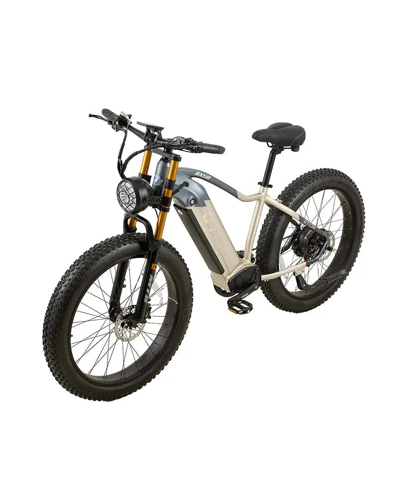 OTIDA RX50 1000W Fat Tire Mountain Electric Bike 