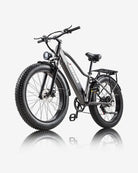 BURCHDA RX20 Fat Tire All Terrain Electric Bike For Adults 