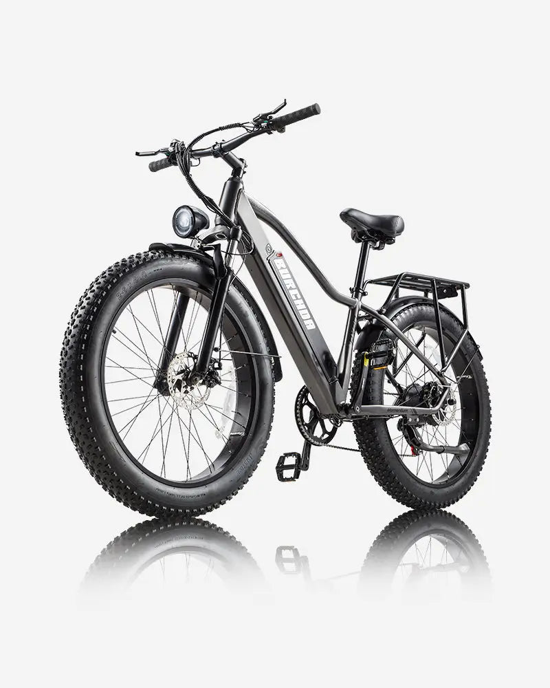 BURCHDA RX20 Fat Tire All Terrain Electric Bike For Adults 