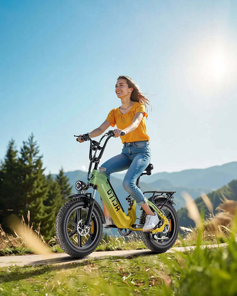 OTIDA AZ20 Step-thru Utility E-bike 