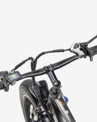 BURCHDA RX20 Fat Tire All Terrain Electric Bike For Adults 