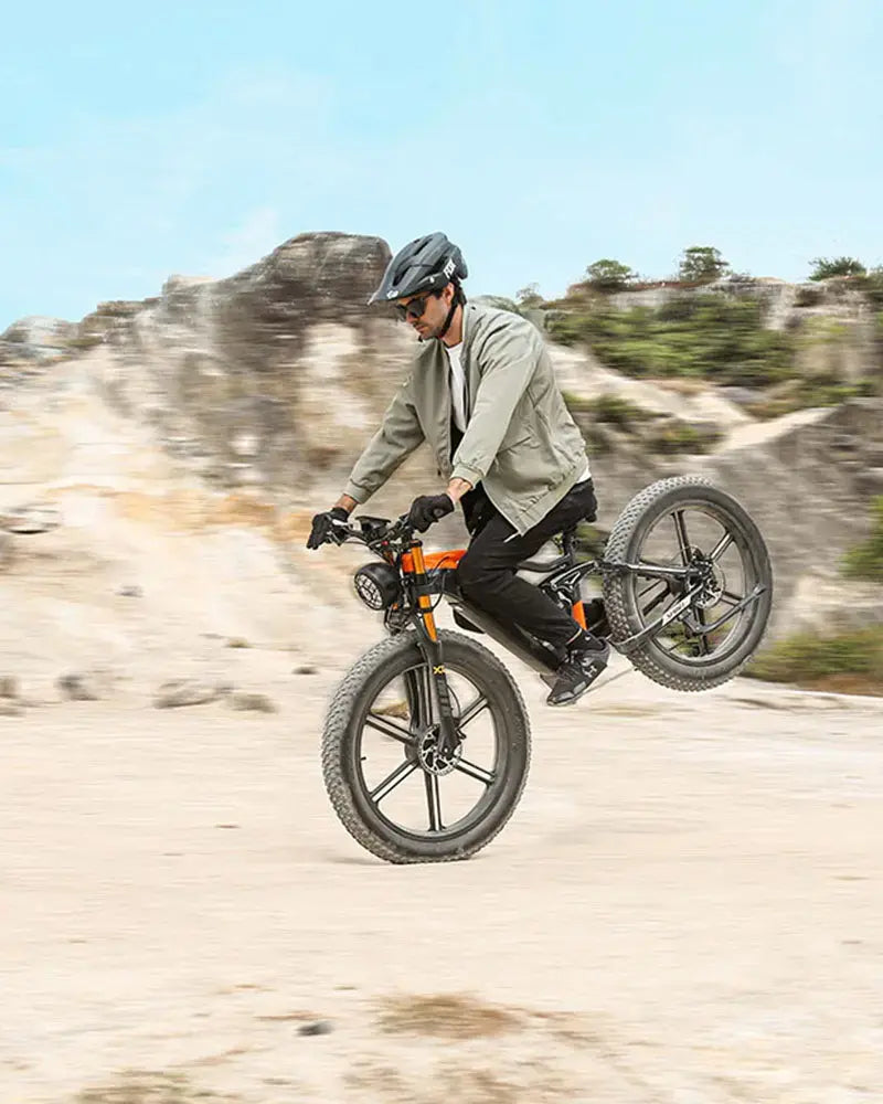 OTIDA RX80 2000W Fat Tire Dual Motor Electric Bike 