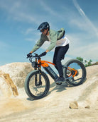 OTIDA RX50 1000W Fat Tire Mountain Electric Bike 