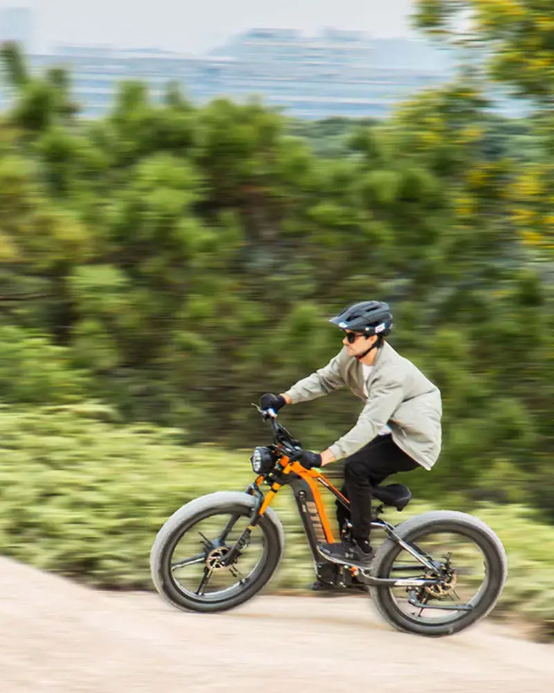 OTIDA RX80 2000W Fat Tire Dual Motor Electric Bike 
