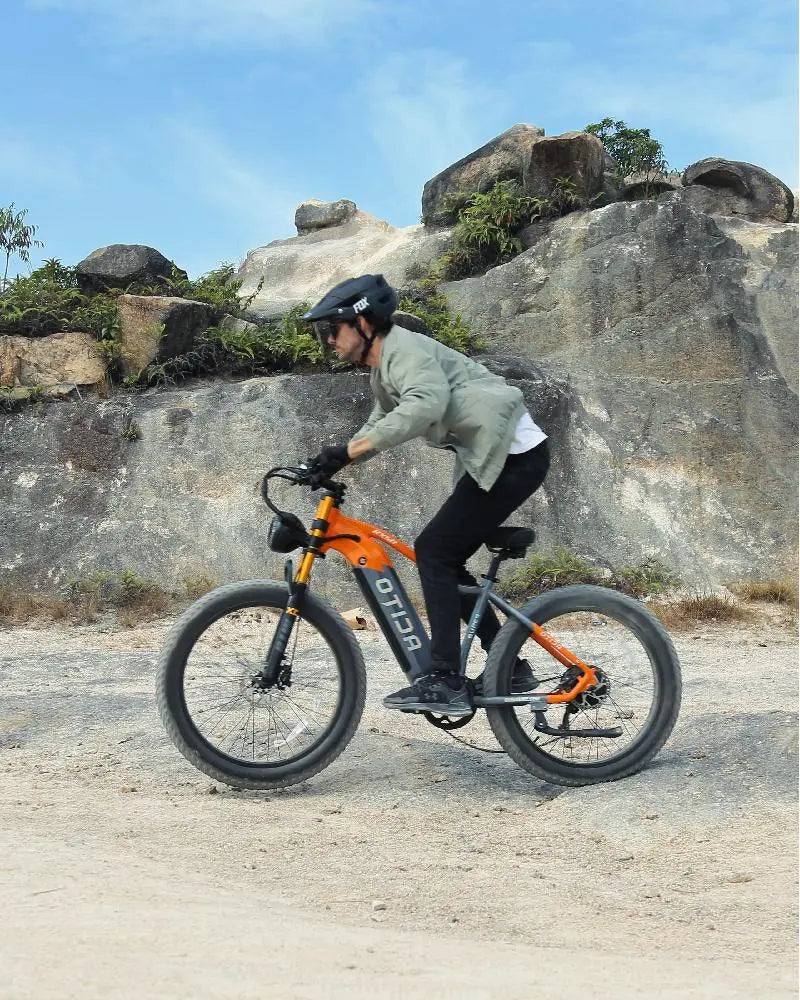 OTIDA RX50 1000W Fat Tire Mountain Electric Bike 