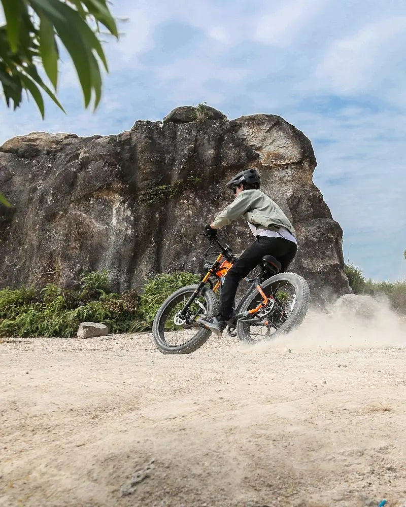 OTIDA RX50 1000W Fat Tire Mountain Electric Bike 