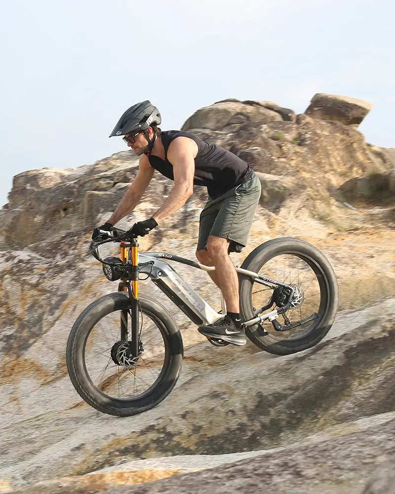 OTIDA RX50 2000W Dual Motor Fat Tire Mountain EBike 