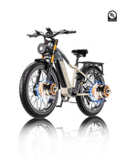 OTIDA RX50 2000W Dual Motor Fat Tire Mountain EBike 