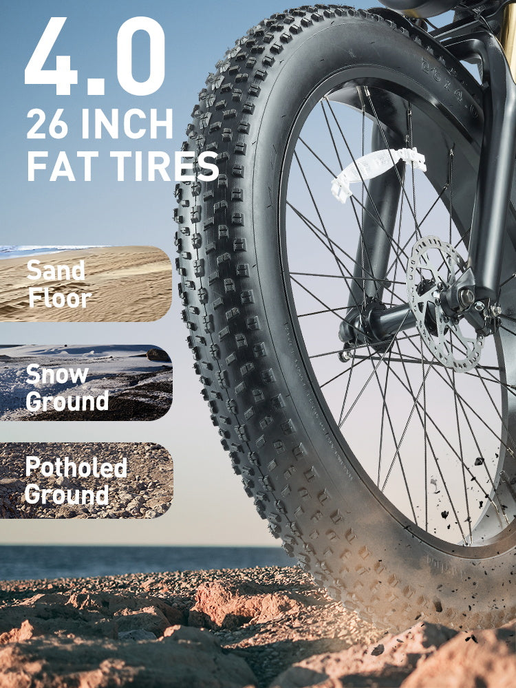 26 x 4.0'' Fat Tire