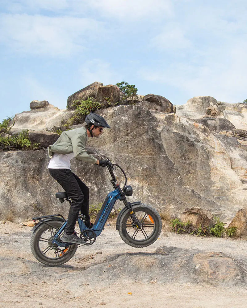BURCHDA AZ20 Step-Thru Utility E-bike burchda