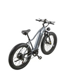 BURCHDA RX50 Off-road Fat Tire Ebike 