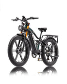 OTIDA RX80 2000W Fat Tire Dual Motor Electric Bike 