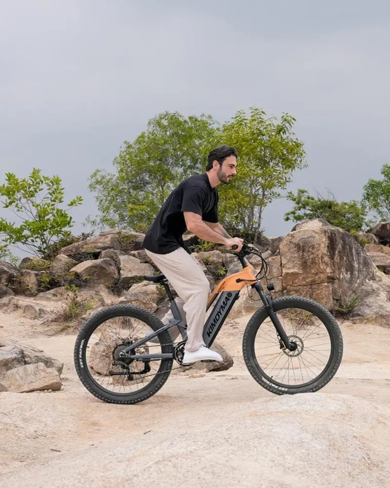 KIMDYMA K02 1000W Urban Commuter Electric Bike for Adult 